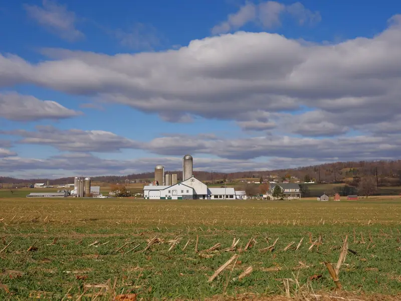 Farm with white silos in open fields