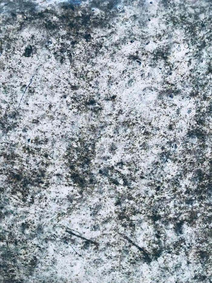 Mold spotting across a damp surface
